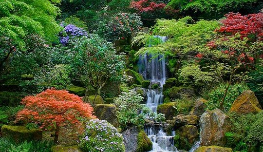 Waterfall flowing through the Portland Japanese Garden